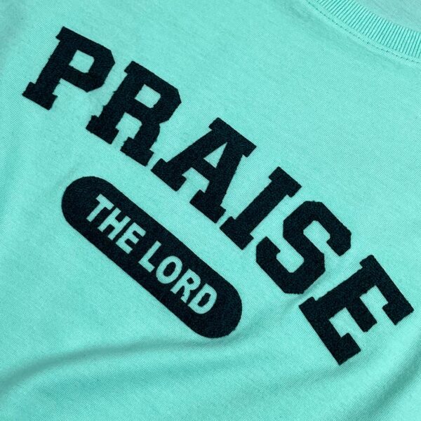 Camiseta Feminina Rosa Praise The Lord