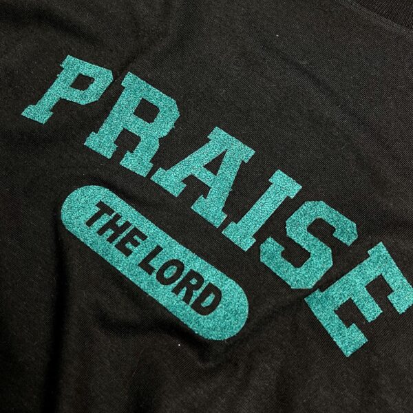 Camiseta Feminina Rosa Praise The Lord