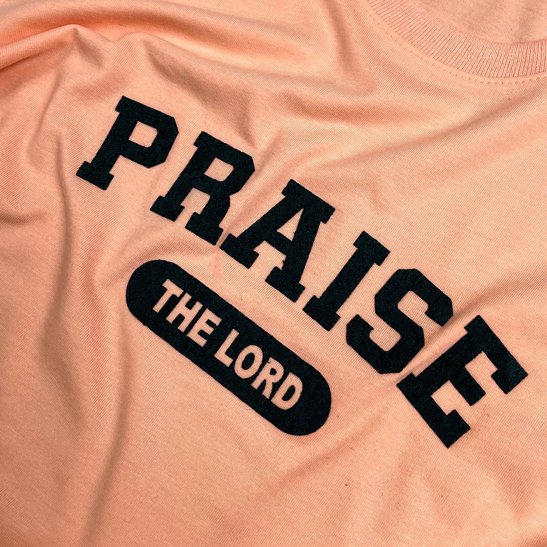 Camiseta Feminina Rosa Praise The Lord - Imagem 9